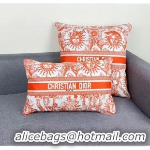 Best Product Dior Embroidered Cotton Rectangular And Square Pillow D060709 2025