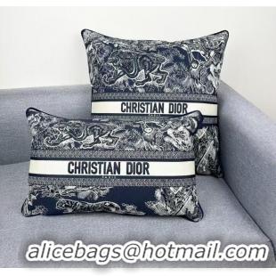 Popular Style Dior Embroidered Cotton Rectangular And Square Pillow D060719 2025