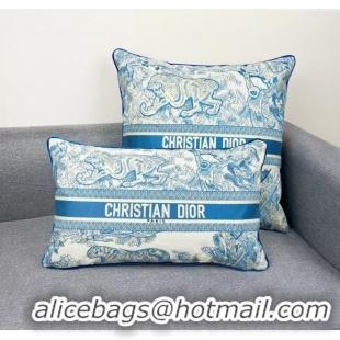 Most Popular Dior Embroidered Cotton Rectangular And Square Pillow D060721 2025