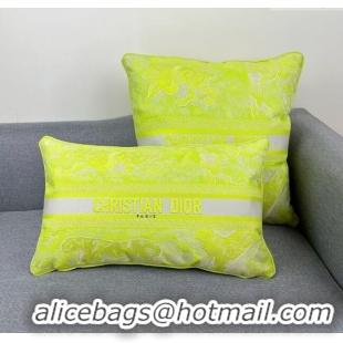 Best Price Dior Embroidered Cotton Rectangular And Square Pillow D060723 2025