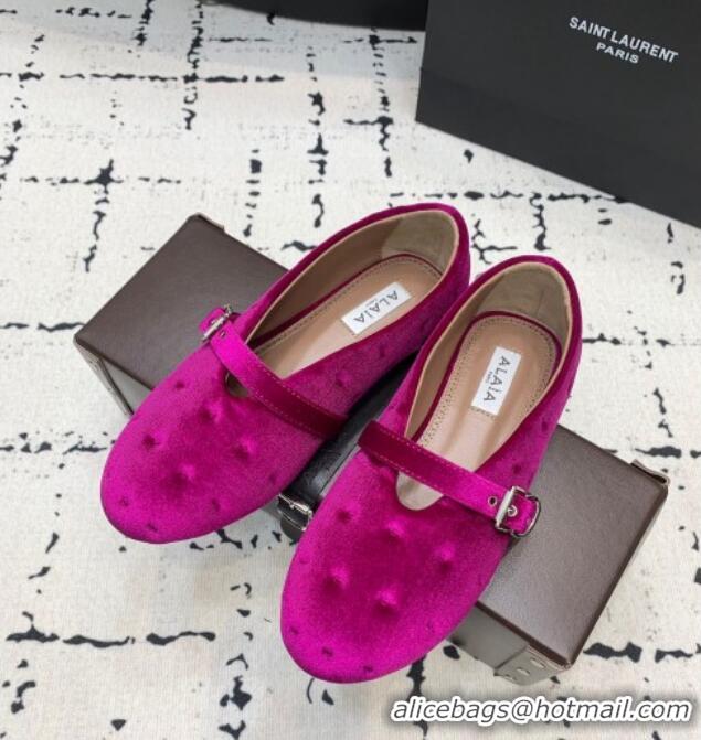 Top Grade Alaia Ballet Flats in Velvet AL100801 Purple 2024