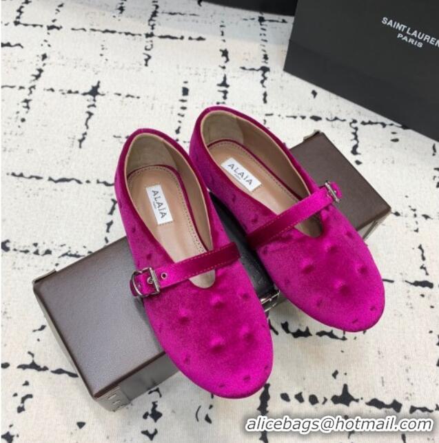 Top Grade Alaia Ballet Flats in Velvet AL100801 Purple 2024