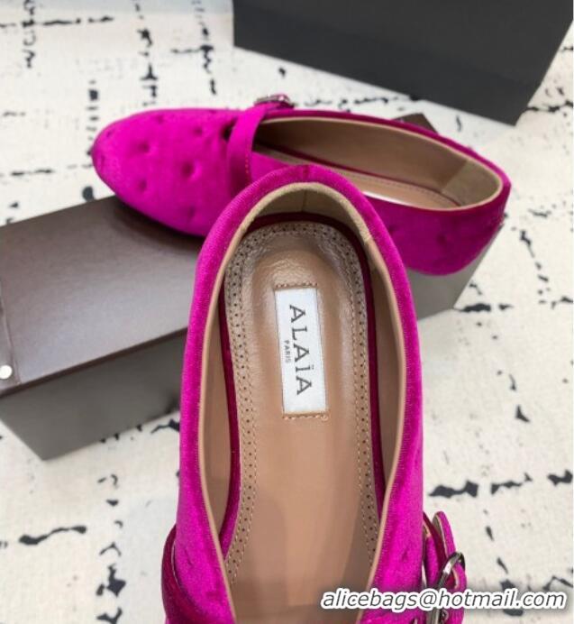 Top Grade Alaia Ballet Flats in Velvet AL100801 Purple 2024