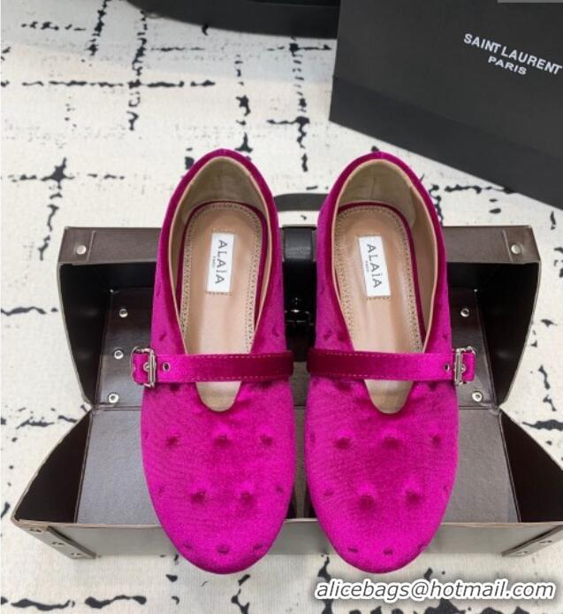 Top Grade Alaia Ballet Flats in Velvet AL100801 Purple 2024