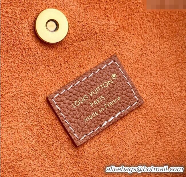 Reasonable Price Louis Vuitton Low Key All In BB Bucket bag M14416 Brown 2025