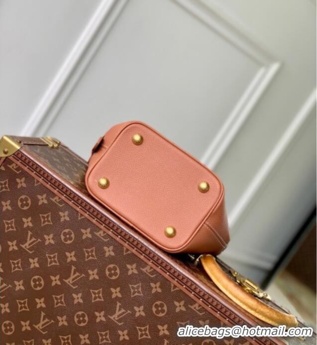 Reasonable Price Louis Vuitton Low Key All In BB Bucket bag M14416 Brown 2025