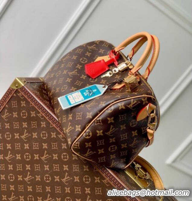 Reasonable Price Louis Vuitton Speedy Soft 30 Crafty Bag Monogram Canvas M11945 2025