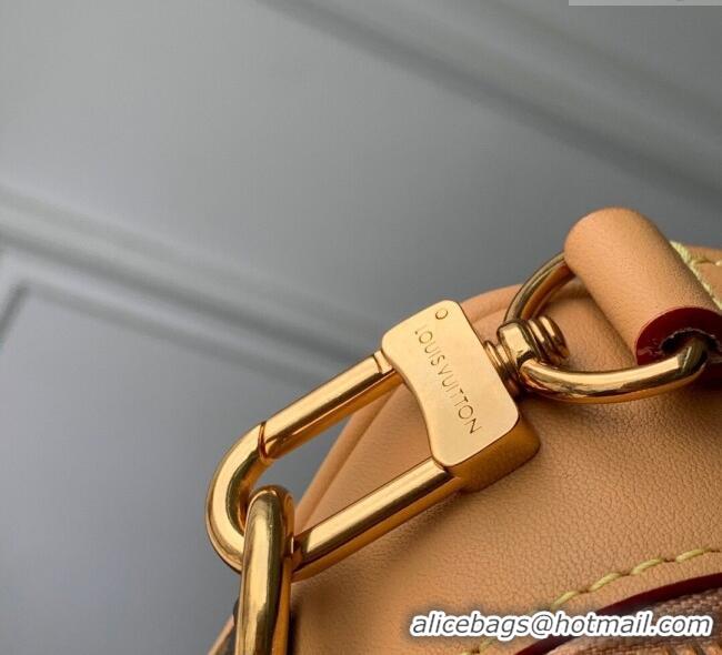 Buy Fashionable Louis Vuitton Mens Baladeur Wearable Wallet Mini Bag in Monogram Canvas M14062 2025