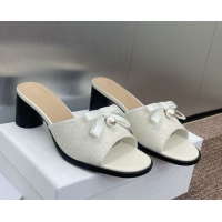 Stylish Dior Oblique...