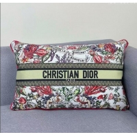 Discount Dior Embroidered Cotton Rectangular Pillow 30x50cm D060701 2025