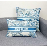 Most Popular Dior Embroidered Cotton Rectangular And Square Pillow D060721 2025