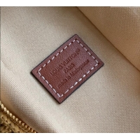 Promotional Louis Vuitton Side Trunk MM Bag in Raffia Straw M14405 Natural/Brown 2025