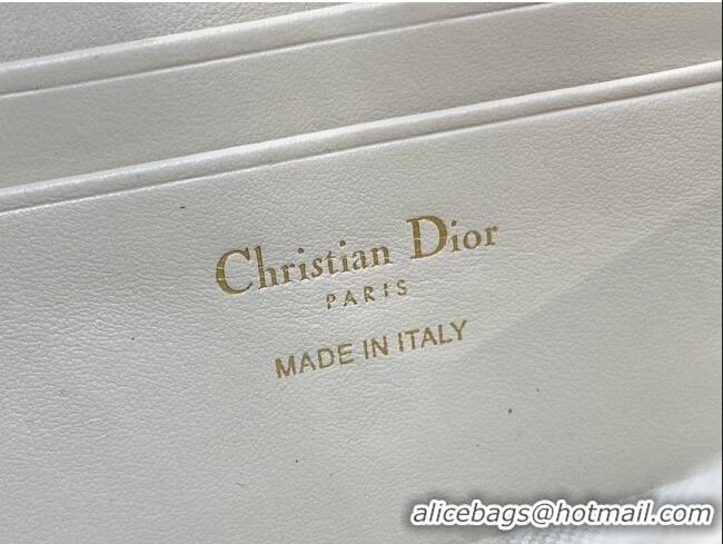 Buy Discount Dior 30 Montaigne Cigale Pouch with Chain in Blue Oblique Chambray with Raffia Effect and Light Biscuit Smo