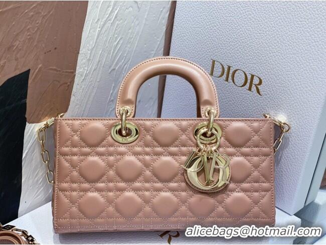 Low Price Dior Lady D-Joy Medium Bag in Cannage Lambskin M9250 Dusty Pink 2025