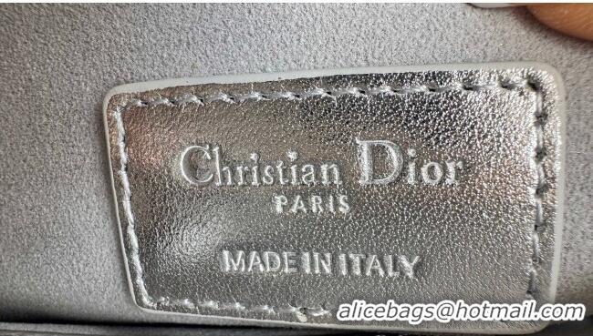 Good Taste Dior Lady D-Joy Small Bag in Cannage Metallic Leather M9250 Silver 2025