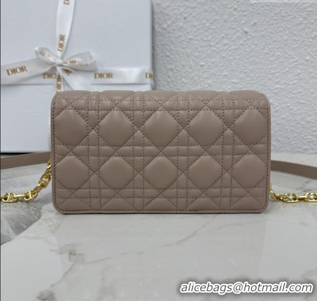 Free Shipping Dior Jolie East-West Bag in Cannage Lamb Leather and Flat Cannage Calfskin S3117 Taupe 2025
