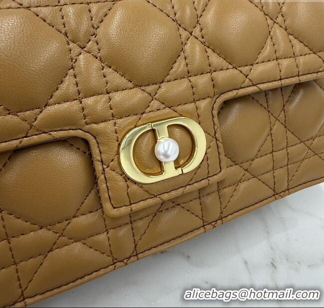 Well Crafted Dior Jolie East-West Bag in Cannage Lamb Leather and Flat Cannage Calfskin S3117 Gold-Tone 2025