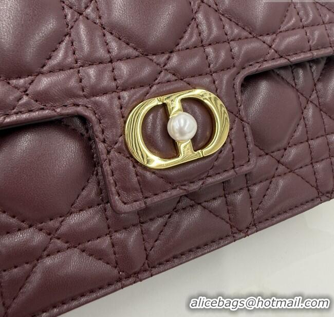 Hot Style Dior Jolie East-West Bag in Cannage Lamb Leather and Flat Cannage Calfskin S3117 Dark Burgundy 2025