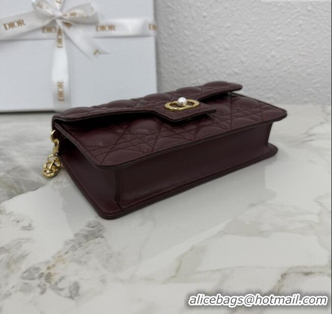 Hot Style Dior Jolie East-West Bag in Cannage Lamb Leather and Flat Cannage Calfskin S3117 Dark Burgundy 2025