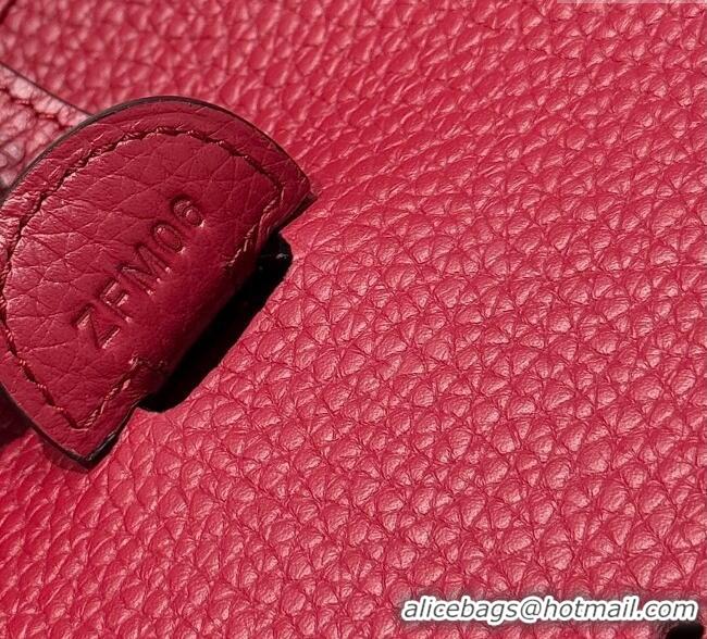 New Design Hermes Evelyne Bag 29cm in Togo Calfskin Leather HB29 Stone Red 2025