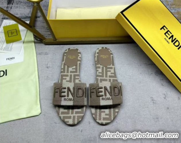 Classic Hot Fendi Sunshine Flat Slides Sandal in Striped Denim-effect Jacquard Grey 0822130