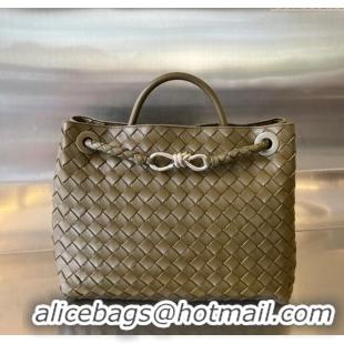 Traditional Specials Bottega Veneta Medium Andiamo Top Handle Bag in Intrecciato Leather 743572 Soil 2025