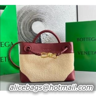 Good Product Bottega Veneta Small Andiamo Top Handle Bag in Raffia Straw and Leather 743568 Red 2025