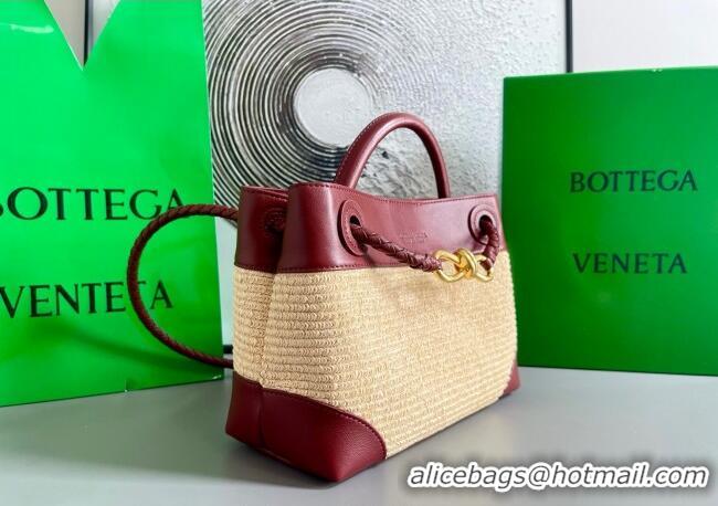 Good Product Bottega Veneta Small Andiamo Top Handle Bag in Raffia Straw and Leather 743568 Red 2025