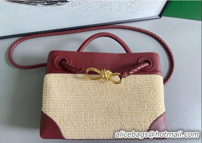Good Product Bottega Veneta Small Andiamo Top Handle Bag in Raffia Straw and Leather 743568 Red 2025