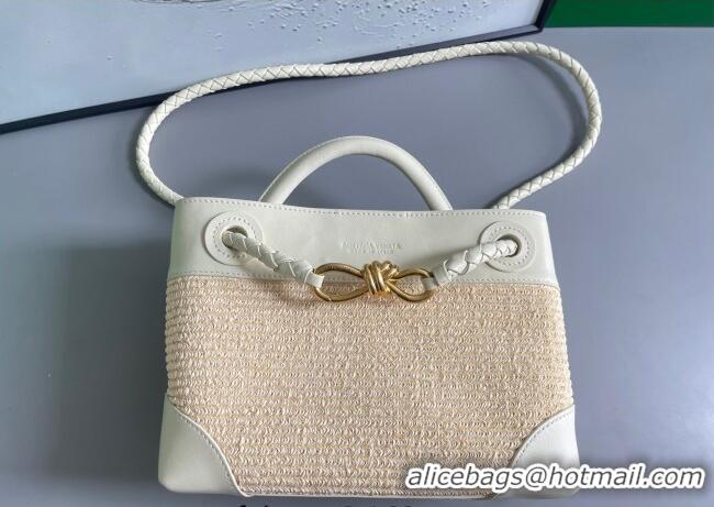 Top Grade Bottega Veneta Small Andiamo Top Handle Bag in Raffia Straw and Leather 743568 Sea Sault 2025