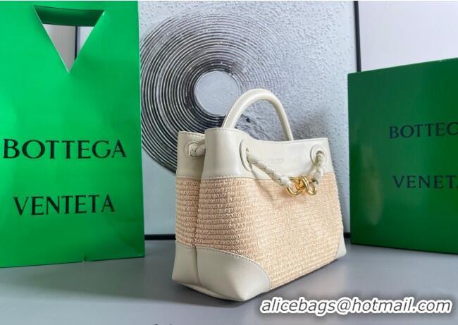 Top Grade Bottega Veneta Small Andiamo Top Handle Bag in Raffia Straw and Leather 743568 Sea Sault 2025