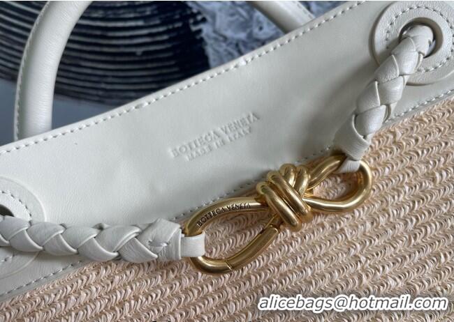 Top Grade Bottega Veneta Small Andiamo Top Handle Bag in Raffia Straw and Leather 743568 Sea Sault 2025