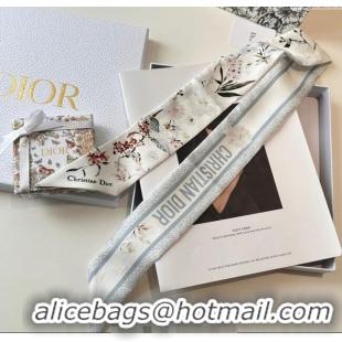 Most Popular Dior Mitzah Millefiori Silk Bandeau Scarf 0724 Grey 2025