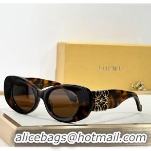 Luxury Classic Loewe Sunglasses LW40175 Brown 2025