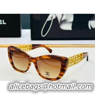 Traditional Specials Chanel Sunglasses CH9169 2025