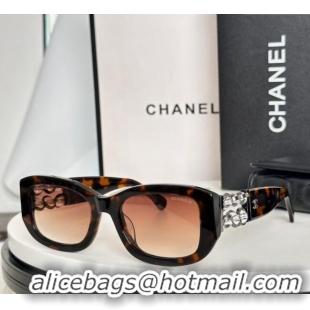 New Design Chanel Sunglasses CH5542 Tortoise 2025