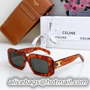 Good Taste Celine Sunglasses CL40313U Orange 2025