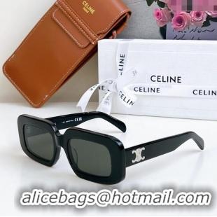 Most Popular Celine Sunglasses CL40313U Black/Silver 2025