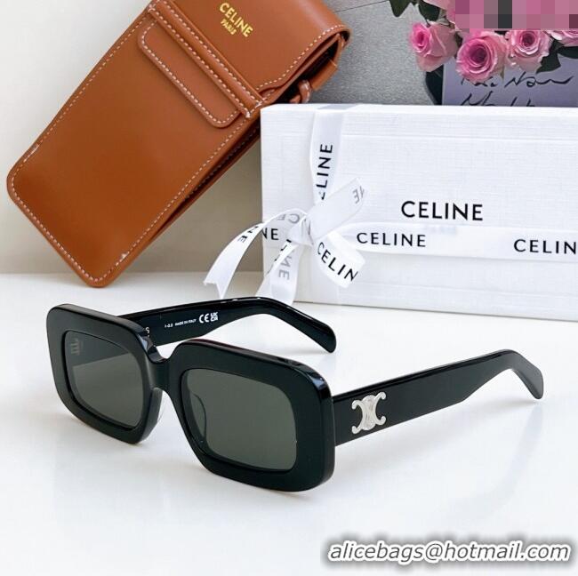 Most Popular Celine Sunglasses CL40313U Black/Silver 2025