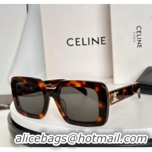 Best Grade Celine Sunglasses CL40304U Brown 2025