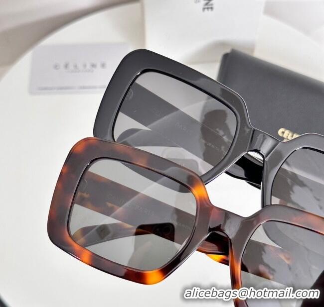 Best Grade Celine Sunglasses CL40304U Brown 2025