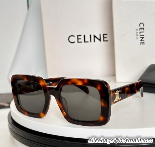 Best Grade Celine Sunglasses CL40304U Brown 2025
