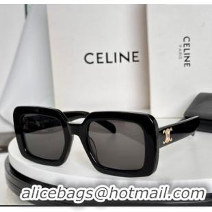 New Fashion Celine Sunglasses CL40304U Black 2025