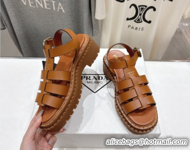 Good Product Prada Calf Leather sandals Brown 2025 PR082502
