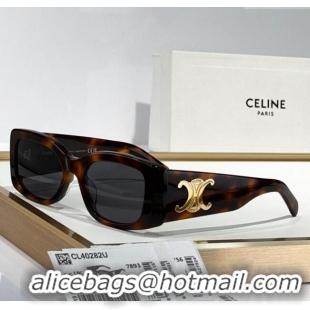 Market Sells Celine Sunglasses CL40282U 2025