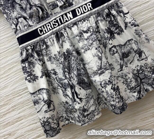 ​Luxury Cheap Dior Printed Dress with Pleated Trim 0611 2025
