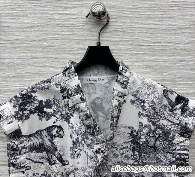​Luxury Cheap Dior Printed Dress with Pleated Trim 0611 2025