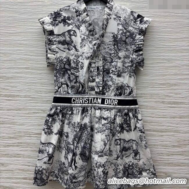 ​Luxury Cheap Dior Printed Dress with Pleated Trim 0611 2025