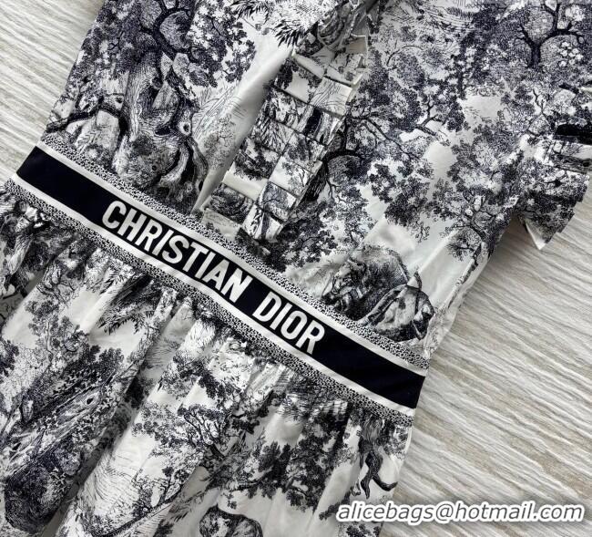 ​Luxury Cheap Dior Printed Dress with Pleated Trim 0611 2025