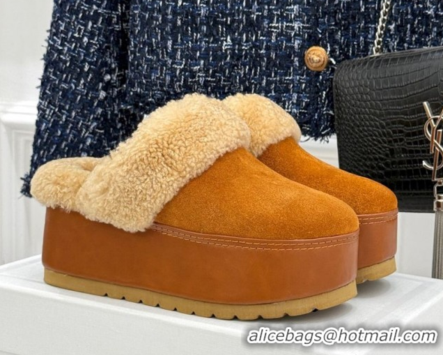 Big Discount Celine Dana Wedge Platform Mules in Suede and Shearling Havana Yellow 2025 CE082615